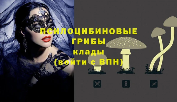 дживик Балахна