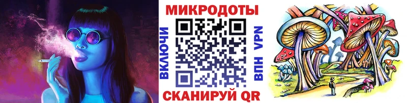 Псилоцибиновые грибы Cubensis  Купить где  Теберда 
